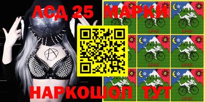 ПСИЛОЦИБИНОВЫЕ ГРИБЫ Нальчик