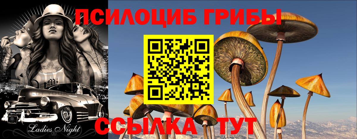 Сергиев Посад  наркошоп  Вход с VPN  Псилоцибиновые грибы Psilocybine cubensis  Псилоцибиновые грибы Magic Shrooms 